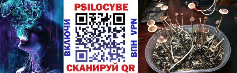 Псилоцибиновые грибы MAGIC MUSHROOMS  Сургут 